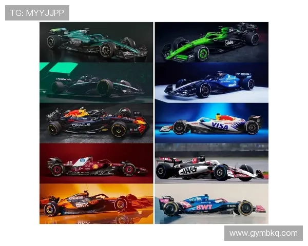 F1赛季精彩回顾与未来挑战车队战术解析